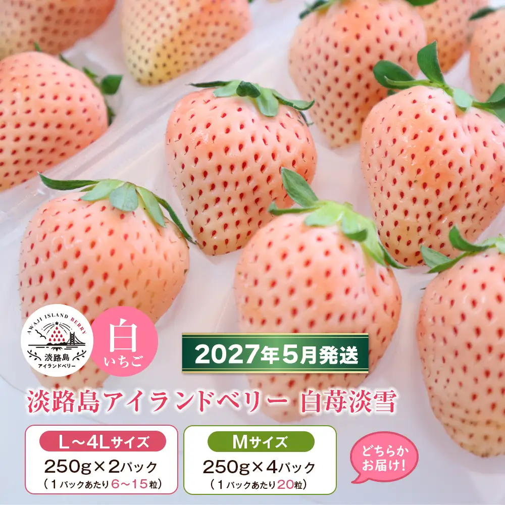 淡路島アイランドベリー 白苺淡雪 2～4パック入【2027年5月発送予約受付・お届け日指定不可】　苺