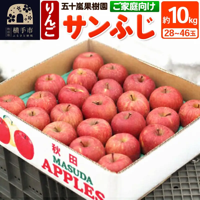 【先行受付】12月中旬より発送 【ご家庭向け】サンふじ 約10kg (28～46玉) りんご 林檎