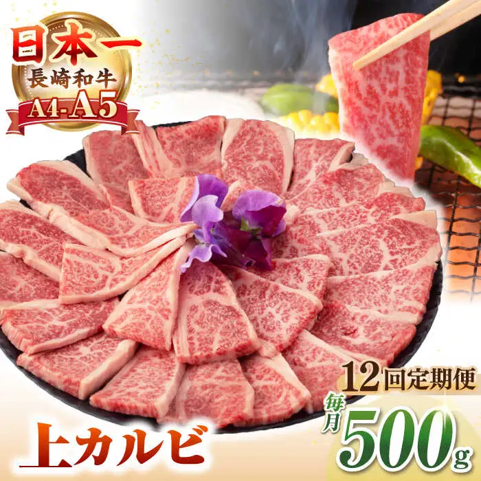 【全12回定期便】【A4～A5ランク】長崎和牛 焼肉用 上カルビ 500g《壱岐市》【野中精肉店】 牛 牛肉 和牛 赤身 焼肉 焼肉用 カルビ BBQ バーベキュー ギフト 贈答用 冷凍配送 A4 A5 [JGC038]