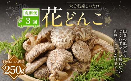 【3ヶ月定期便】大分産しいたけ花どんこ 250g 合計750g 乾燥椎茸 乾燥 しいたけ 干し椎茸 乾し椎茸 乾燥野菜 原木どんこ 花どんこ 大分県 九重町