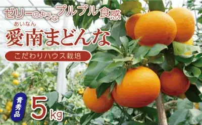 【紅まどんなと同品種】【訳あり】 まどんな 5kg