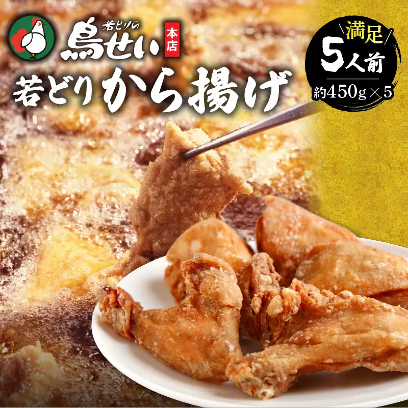 鳥せい本店の若どりから揚げ 満足5人前 【鳥せい本店 若どり から揚げ 5人前 おつまみ 晩ごはん お手軽 鶏肉 手羽 むね肉 もも肉 詰め合わせ 真空パック 冷蔵 職人技 こだわり お取り寄せ 北海道 清水町】_S004-0014-20260623