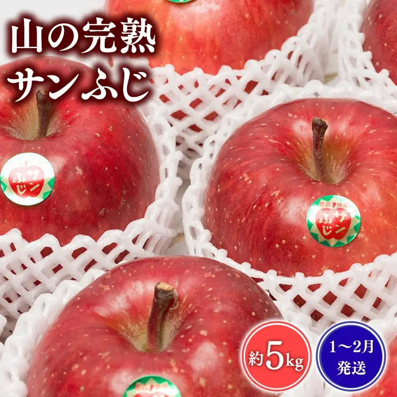 りんご 山の完熟サンふじ 約5kg  [hi-0010-003]
