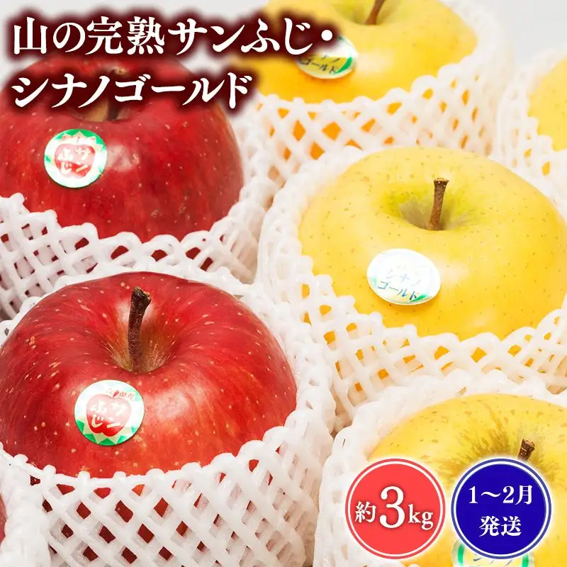 りんご 山の完熟サンふじ・シナノゴールド約3kg [hi-0010-013]