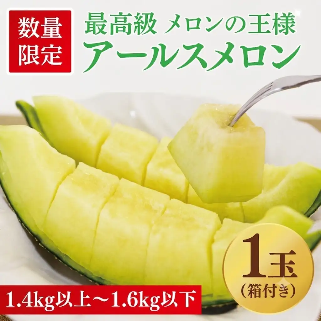 アールスメロン 1玉 益子町 AA040