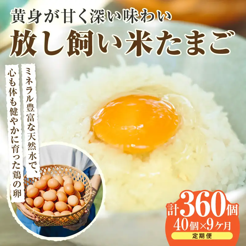 【9か月定期便】放し飼い米たまご35個+5個保証（計40個）農家直送 新鮮 卵 タマゴ 赤卵 玉子 鶏卵 朝食 夕食 夜食 朝ごはん たまご焼き オムレツ 卵ご飯 料理 濃厚 飼料にこだわった 卵かけご飯 米たまご 生卵 大容量 お取り寄せ 愛知県 常滑市