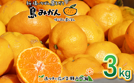【2026年11月下旬頃から順次発送】【みかん】 温州みかん 3kg | 愛媛県松山市【FT103】