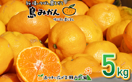 【2026年11月下旬頃から順次発送】【みかん】 温州みかん 5kg | 愛媛県松山市【FT104】