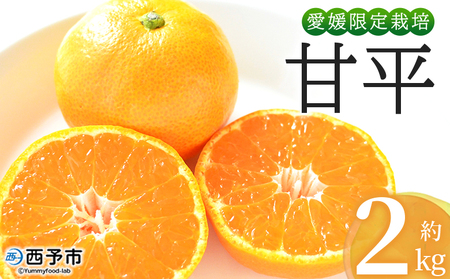 ＜おはこやがつくる 甘平 約2kg（L～3Lサイズ）＞ 果物 フルーツ 柑橘 カンペイ みかん ミカン 蜜柑 特産品 西宇和 愛媛県 西予市【常温】『2027年1月下旬～2月上旬迄に順次出荷予定』MOK0017