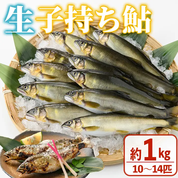 【北海道・離島配送不可】＜先行予約受付中！2026年10月～11月中旬の間に発送予定＞＜期間限定＞生子持ち鮎(約1kg・10～14匹)  冷蔵 国産 川魚 【ME-02】【米良水産】