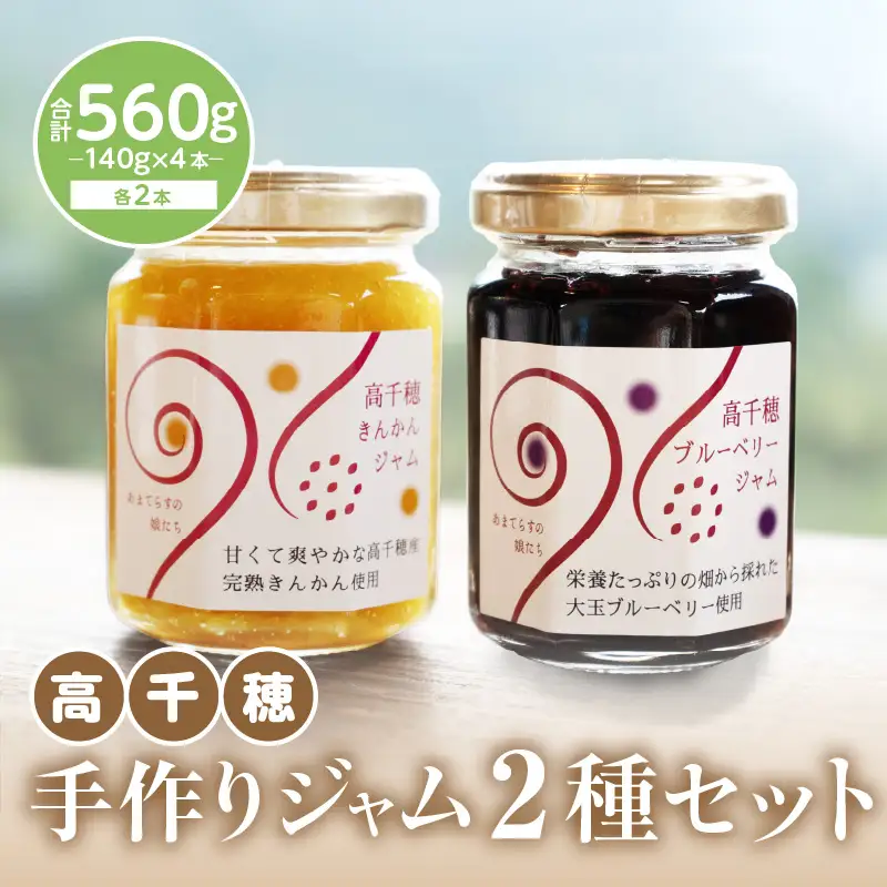 高千穂手作りジャム2種セット【きんかん＆ブルーベリー各2本】 金柑 ブルーベリー フルーツ 果物 ジャム ジャムセット マーマレード 手作りジャム パン カナッペ 贈答 贈り物 ギフト 国産 宮崎県産 高千穂町産 特産品 おすすめ 瓶 宮崎県 高千穂町 _Tk050-006