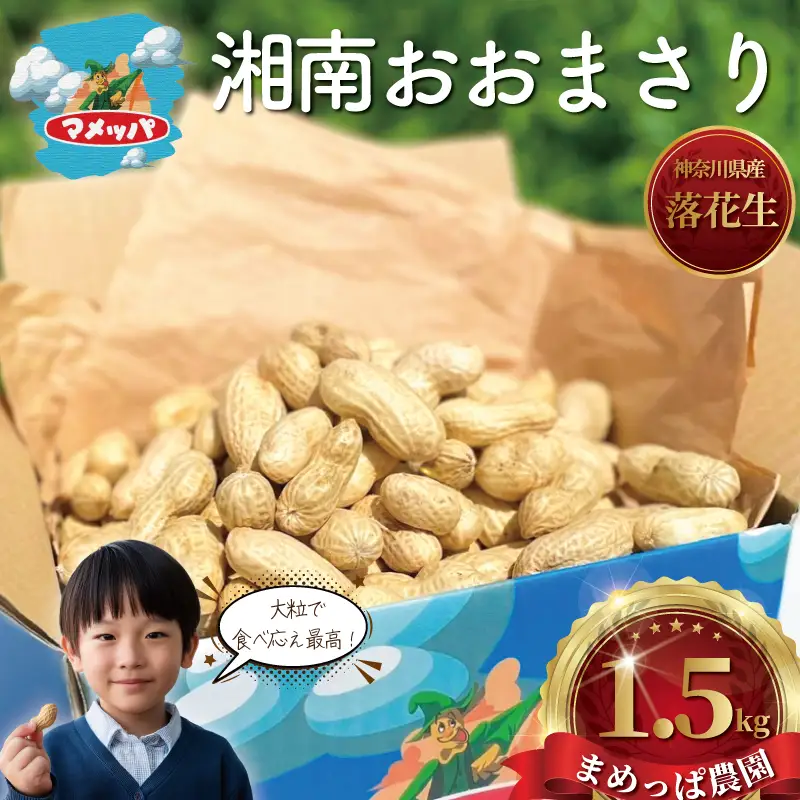落花生 豆 1.5kg 【湘南 生落花生】