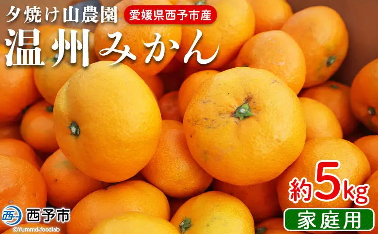 ＜夕焼け山農園 愛媛県西予市産 温州みかん 家庭用 約5kg＞『2026年10月上旬～12月下旬予定』果物 フルーツ ミカン 蜜柑 柑橘 なんかん 訳あり うんしゅうみかん ウンシュウ 特産品 愛媛県 西予市 【常温】AYN0008