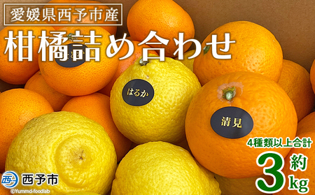 ＜愛媛県西予市産 柑橘詰め合わせ 合計約3kg＞ 果物 フルーツ お任せ おまかせ お楽しみ みかん ミカン 蜜柑 食べ比べ 詰合せ セット ご家庭用 柑橘 特産品 夕焼け山農園 愛媛県 西予市 【常温】『2025年1月上旬～4月中旬頃迄に順次出荷予定』AYN0009