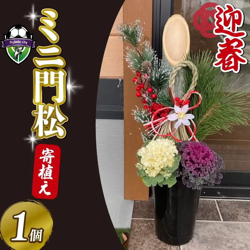 【 先行予約 ：2026年12月発送 】 花  門松 ミニ 寄植え 6号 正月飾り 葉牡丹 門松 門松 正月
