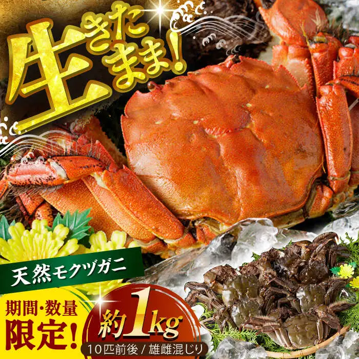 【期間・数量限定】浦戸湾育ちの天然ツガニ（モクヅガニ） 〈2027年3月下旬頃まで発送〉 【土佐の廣丸】[ATAL002]