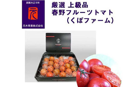 春野フルーツトマト（くぼファーム）厳選上級品／約1kg（約20玉）〈2025年1月から発送〉【グレイジア株式会社】 [ATAC325]
