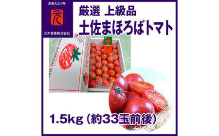 厳選上級品まほろばトマト／約1.5kg（33玉前後）〈2025年1月から発送〉【グレイジア株式会社】 [ATAC336]