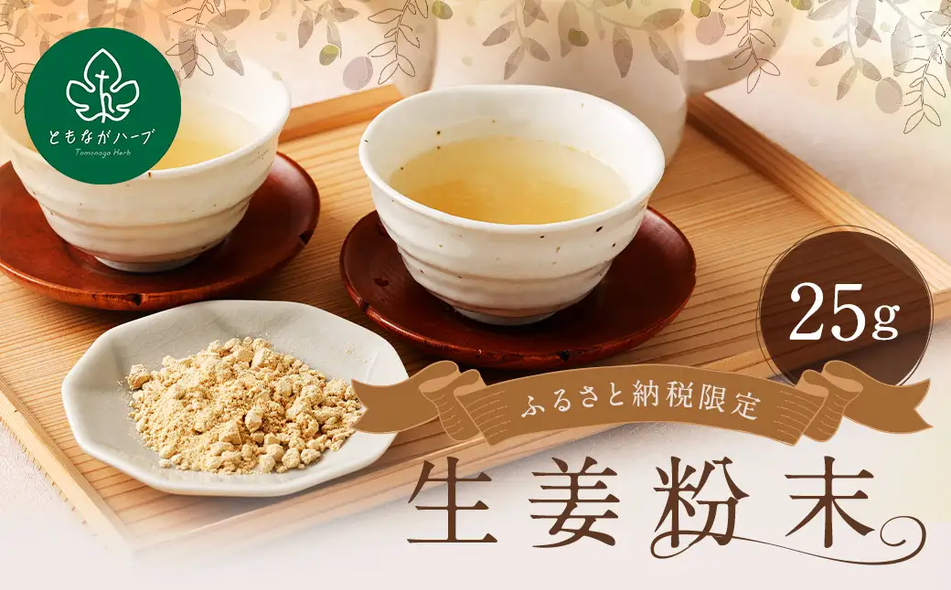 【14営業日以内発送】生姜粉末25gアルミ袋 ／ 調味料 生姜 しょうが ショウガ パウダー 粉 健康 健康食品 長崎県 長崎市