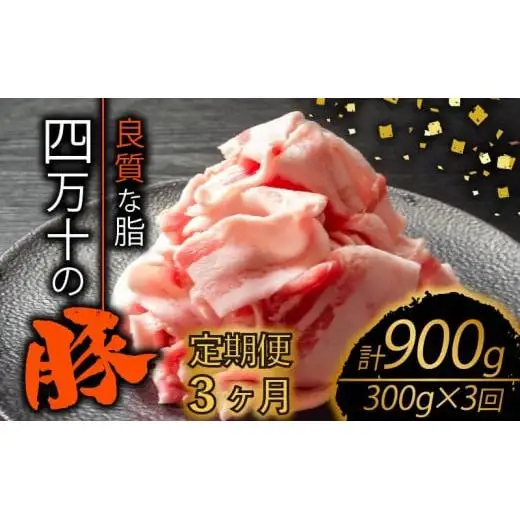 【 豚肉 】 豚肉定期便3ヶ月900g