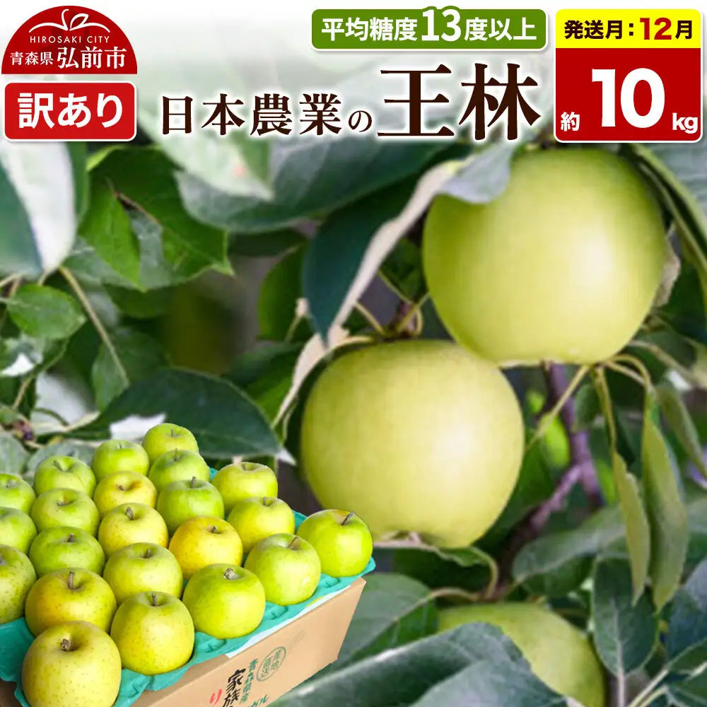 【26年12月発送】りんご 王林【訳あり】約10kg 平均糖度13度以上 青森県 弘前市 果物 フルーツ 林檎 リンゴ くだもの 不揃い 規格外