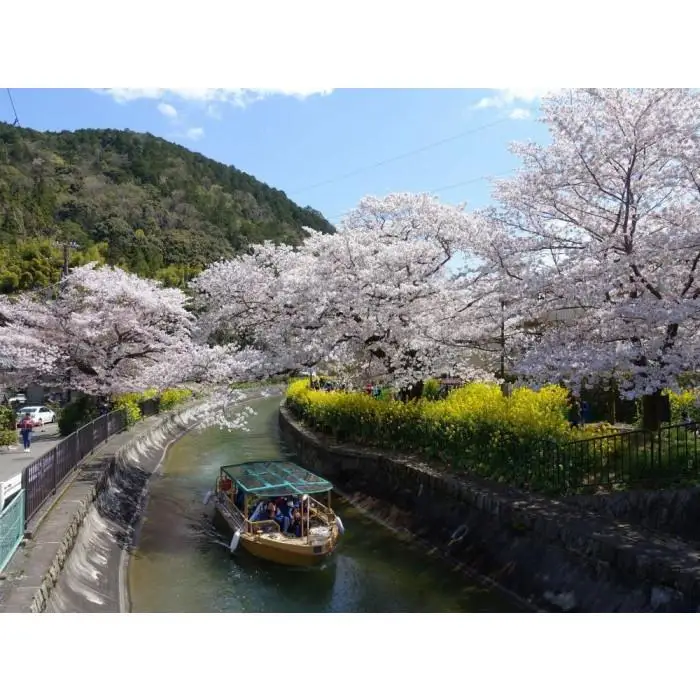 【びわ湖疏水船：三井寺便】春シーズン先行予約権（１名様分の先行予約の権利と乗船引換券）