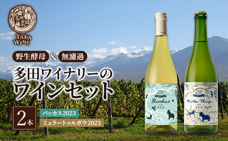 白ワイン フルーティ 多田ワイナリー 野生酵母 白ワイン【2本】