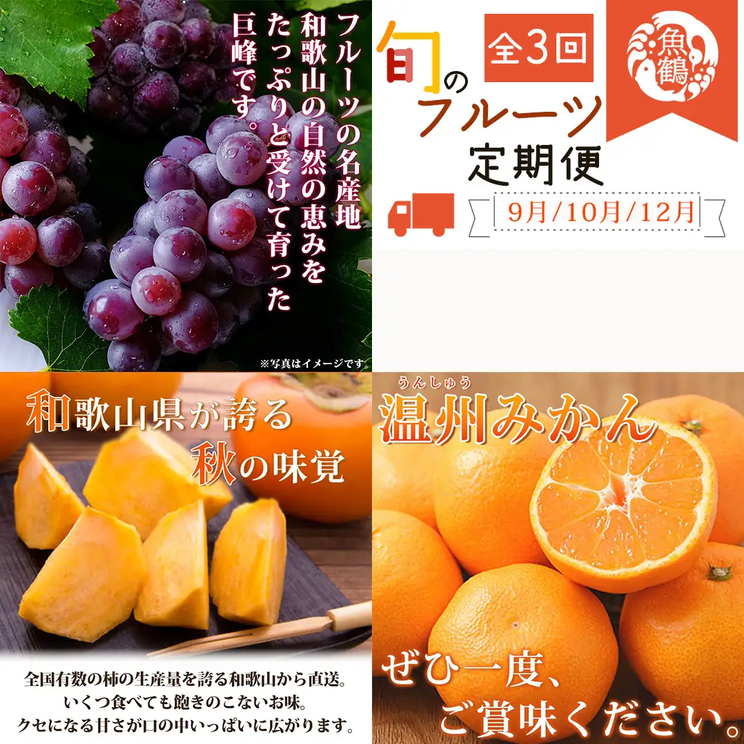 【全3回】紀州和歌山産旬のフルーツセット(巨峰・ひらたね・みかん)  / 果物定期便 フルーツ定期便 みかん オレンジ 柑橘 くだもの 果物 かき カキ ぶどう 巨峰 【tkb397】