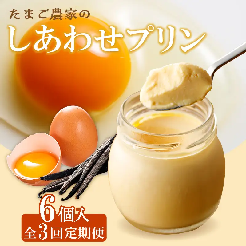 【定期便3ヶ月】たまご農家のしあわせプリン 6個セット デイリーファーム たまご 幸せ プリン 瓶入り デザート スイーツ おやつ 卵 鶏卵 ココテラス なめらかプリン 洋菓子 米卵 常滑牛乳 お菓子 ギフト プレゼント グルメ お取り寄せ 愛知県 常滑市 定期便