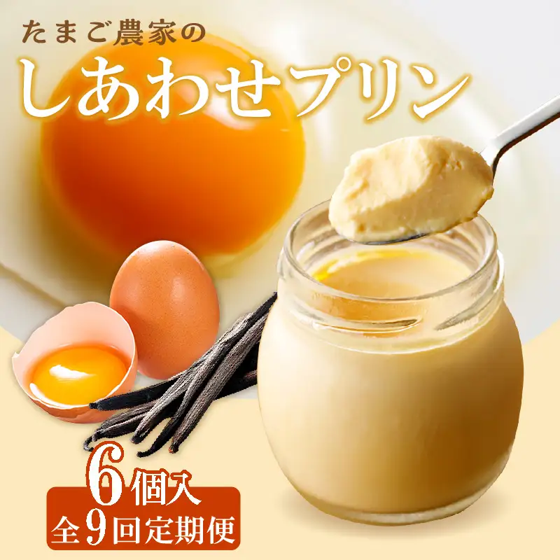 【定期便9ヶ月】たまご農家のしあわせプリン 6個セット デイリーファーム たまご 幸せ プリン 瓶入り デザート スイーツ おやつ 卵 鶏卵 ココテラス なめらかプリン 洋菓子 米卵 常滑牛乳 お菓子 ギフト プレゼント グルメ お取り寄せ 愛知県 常滑市 定期便