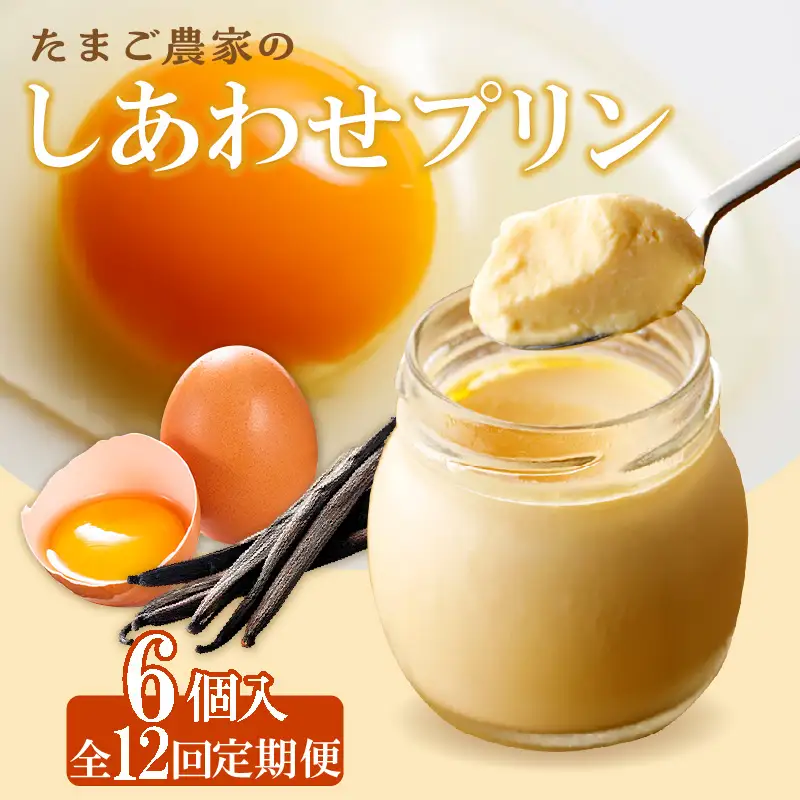 【定期便12ヶ月】たまご農家のしあわせプリン 6個セット デイリーファーム たまご 幸せ プリン 瓶入り デザート スイーツ おやつ 卵 鶏卵 ココテラス なめらかプリン 洋菓子 米卵 常滑牛乳 お菓子 ギフト プレゼント グルメ お取り寄せ 愛知県 常滑市 定期便
