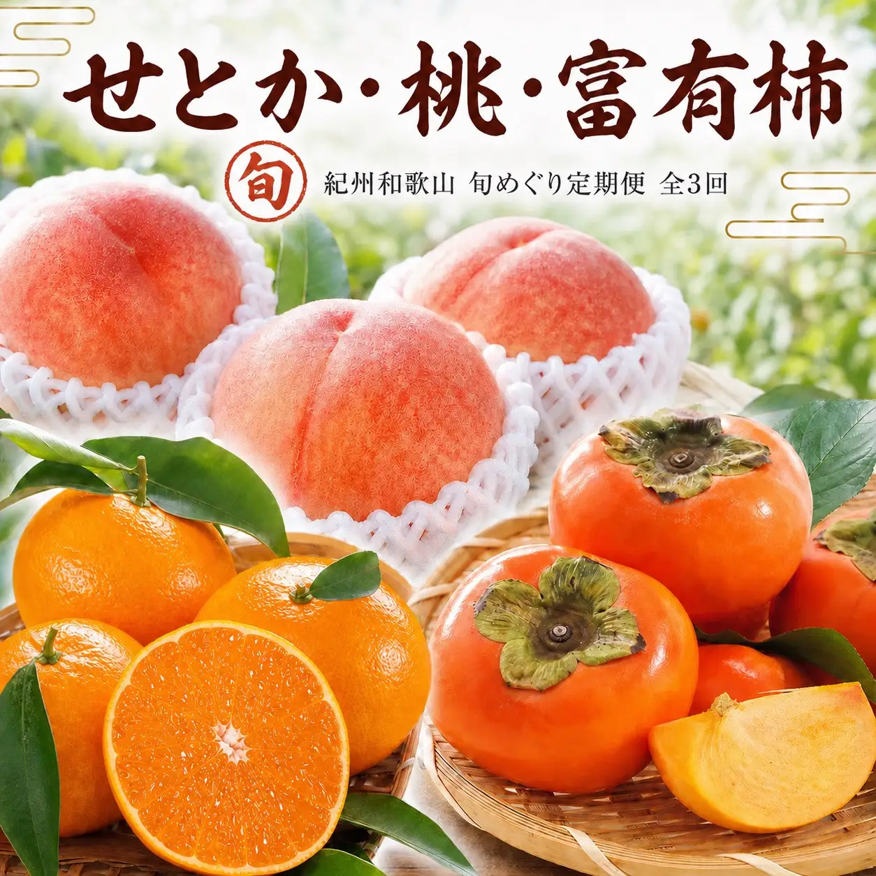 【全3回】紀州和歌山産旬のフルーツセット(せとか・桃・富有柿)  / 果物定期便 フルーツ定期便 セトカ 柑橘 くだもの 果物 カキ かき 柿 もも モモ 桃 【tkb392】