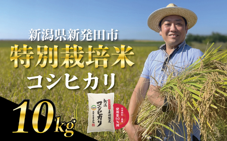 コシヒカリ 10kg コシヒカリコシヒカリコシヒカリ