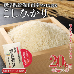 特別栽培米 コシヒカリ 20kg 新潟産こしひかり こしひかり精米 こしひかり白米 新発田産こしひかり こしひかり watasho006_1