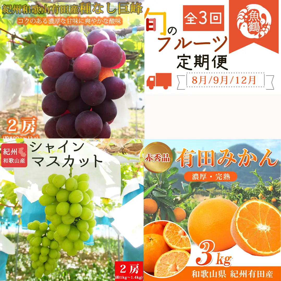 【全3回】紀州和歌山産旬のフルーツセット(巨峰・シャイン・みかん) / 果物定期便 フルーツ定期便 みかん オレンジ 柑橘 くだもの 果物 シャイン マスカット ぶどう 巨峰 【tkb398】