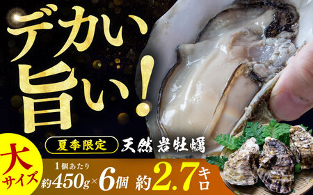 【先行予約 / 2027年6月下旬より順次発送】 若狭湾 生食用 天然岩牡蠣 大6個（軍手、牡蠣ナイフ付き） 小浜市 / 加福鮮魚【配送不可地域：北海道・沖縄・離島】[BFBC009] 