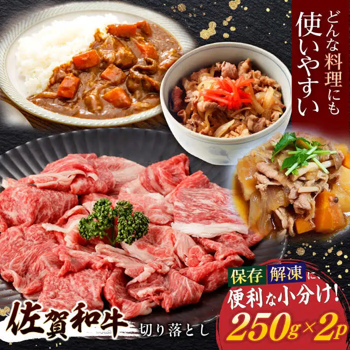 牛肉切り落とし 計500g NAC030 牛肉