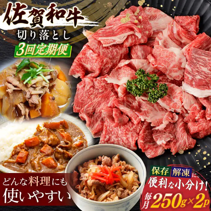 【定期便】牛肉切り落とし 計500g NAC162 牛肉 全3回