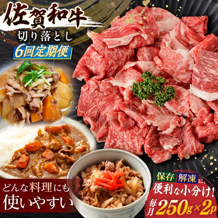 【定期便】牛肉切り落とし 計500g NAC163 牛肉 全6回