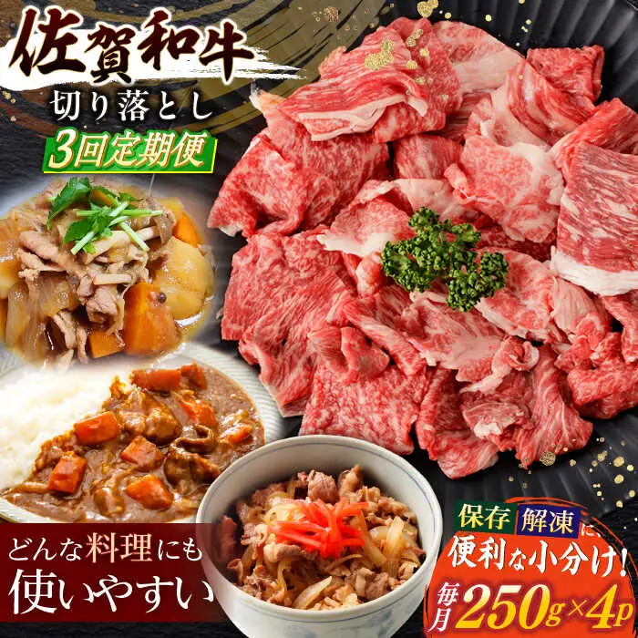 【定期便】牛肉切り落とし 計1kg NAC165 牛肉 全3回