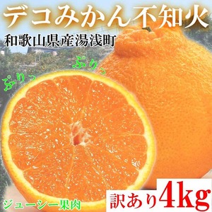 【先行予約】【ご家庭用】和歌山県産 不知火（しらぬい） 約4kg | 柑橘 オレンジ みかん 訳あり 和歌山みかん オレンジ フルーツ 果物