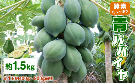 酵素たっぷり「 青パパイヤ 」1.5kg W009-065-02 惣菜
