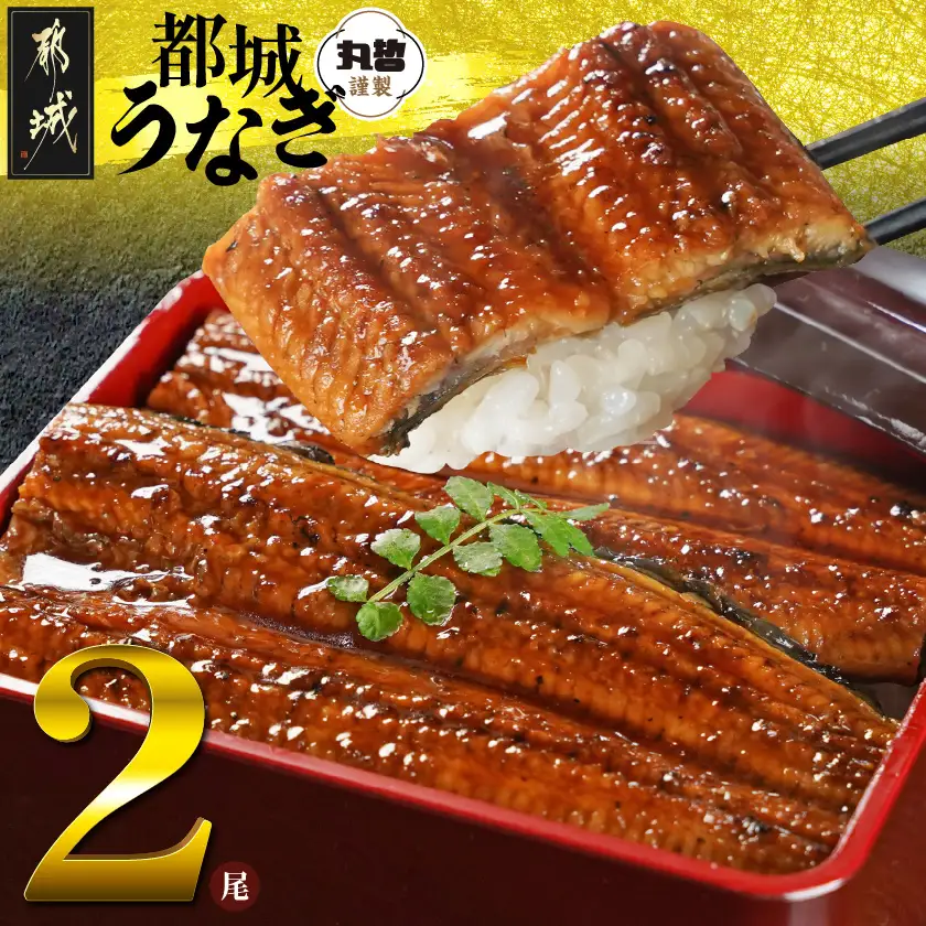 【数量限定】宮崎県育ちのうなぎ蒲焼2尾300g以上≪山椒・たれ付≫〔13-M3-005-2〕_(都城市) 有頭 真空