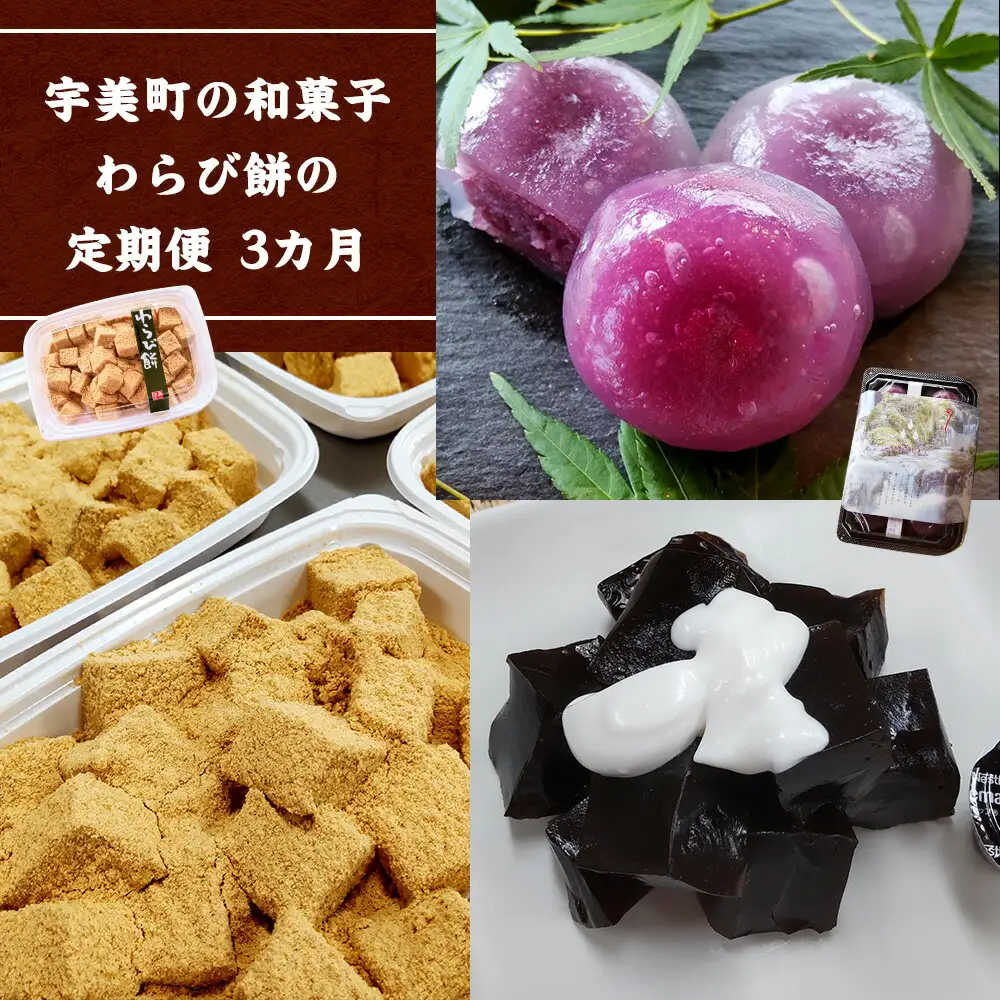 和菓子 わらび餅 3回 定期便 河原のしずく 6個入4個 珈琲わらび餅 100g入り 8個 黒みつ付 250g 4個