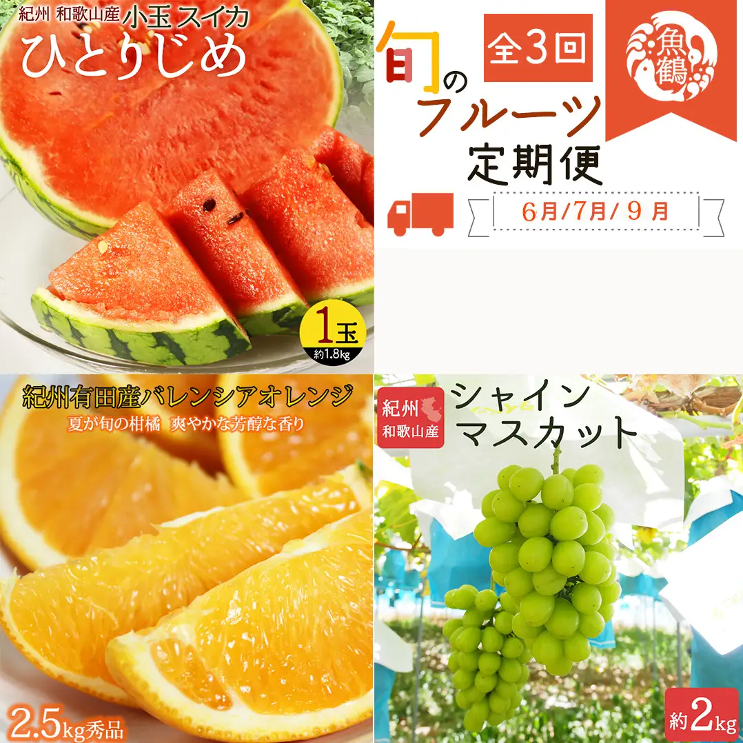 【全3回】紀州和歌山産旬のフルーツセット(スイカ・バレンシア・シャイン)/ 果物定期便 フルーツ定期便 バレンシア オレンジ 柑橘 くだもの 果物 すいか スイカ シャインマスカット 【tkb395】