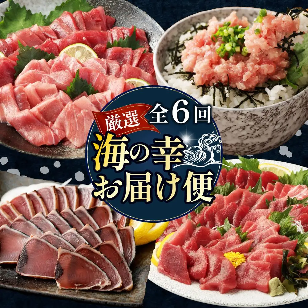 【定期便/計6回】海鮮【惣菜海鮮】tk109