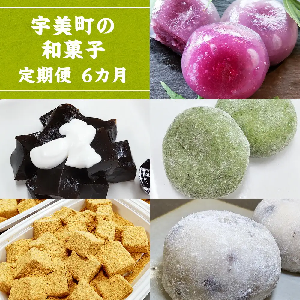 和菓子 6回 定期便 河原のしずく 珈琲わらび餅 黒みつ付 草餅 わらび餅 豆大福