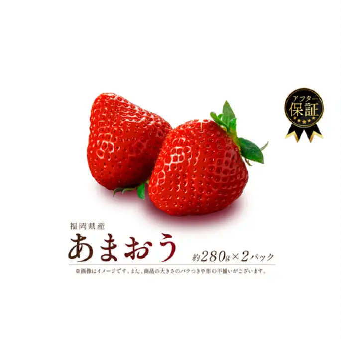 【1-2月発送】いちご 560g | いちご SEM