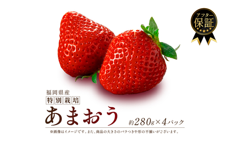 【2027年発送先行予約】福岡産いちご あまおう 4パック イチゴ