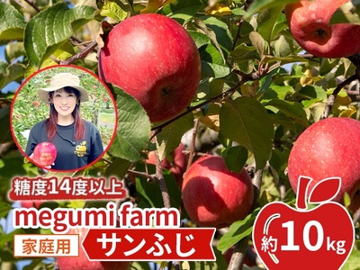 りんご サンふじ 訳あり 家庭用 高糖度 青森県産 りんご【約10kg】